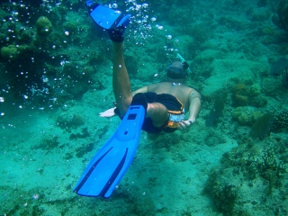 Visita guiada de snorkel